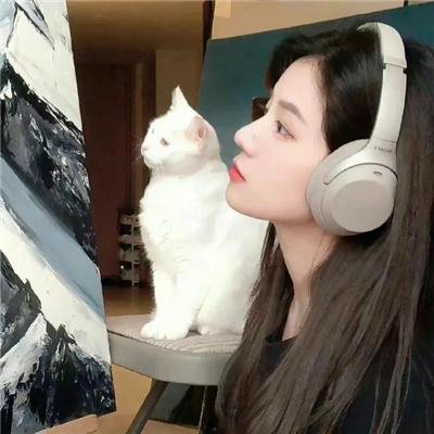 迎风伫立的狮子 封面