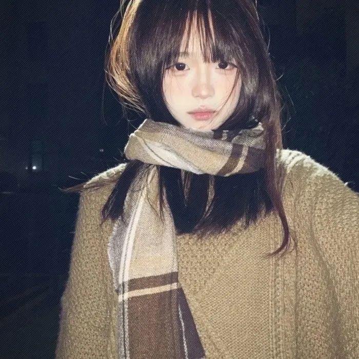 芝加哥警署第七季 封面