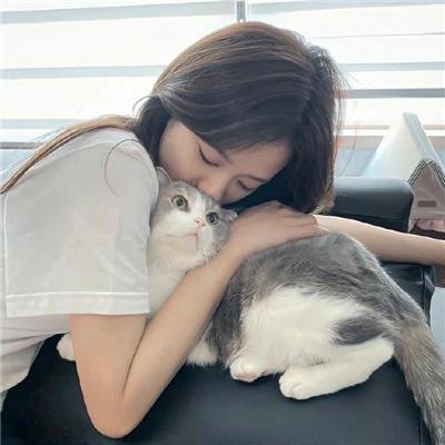 腌黄瓜先生第二季 封面