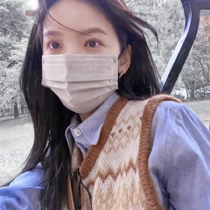 布里叶女士 封面